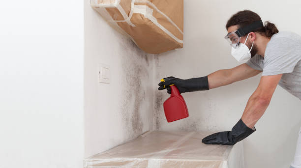 Professional Mold Inspection And Testing technician working in Wantagh, NY
